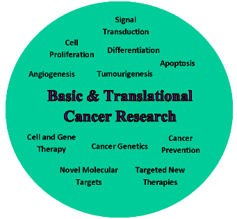 Circle with terms related to cancer research