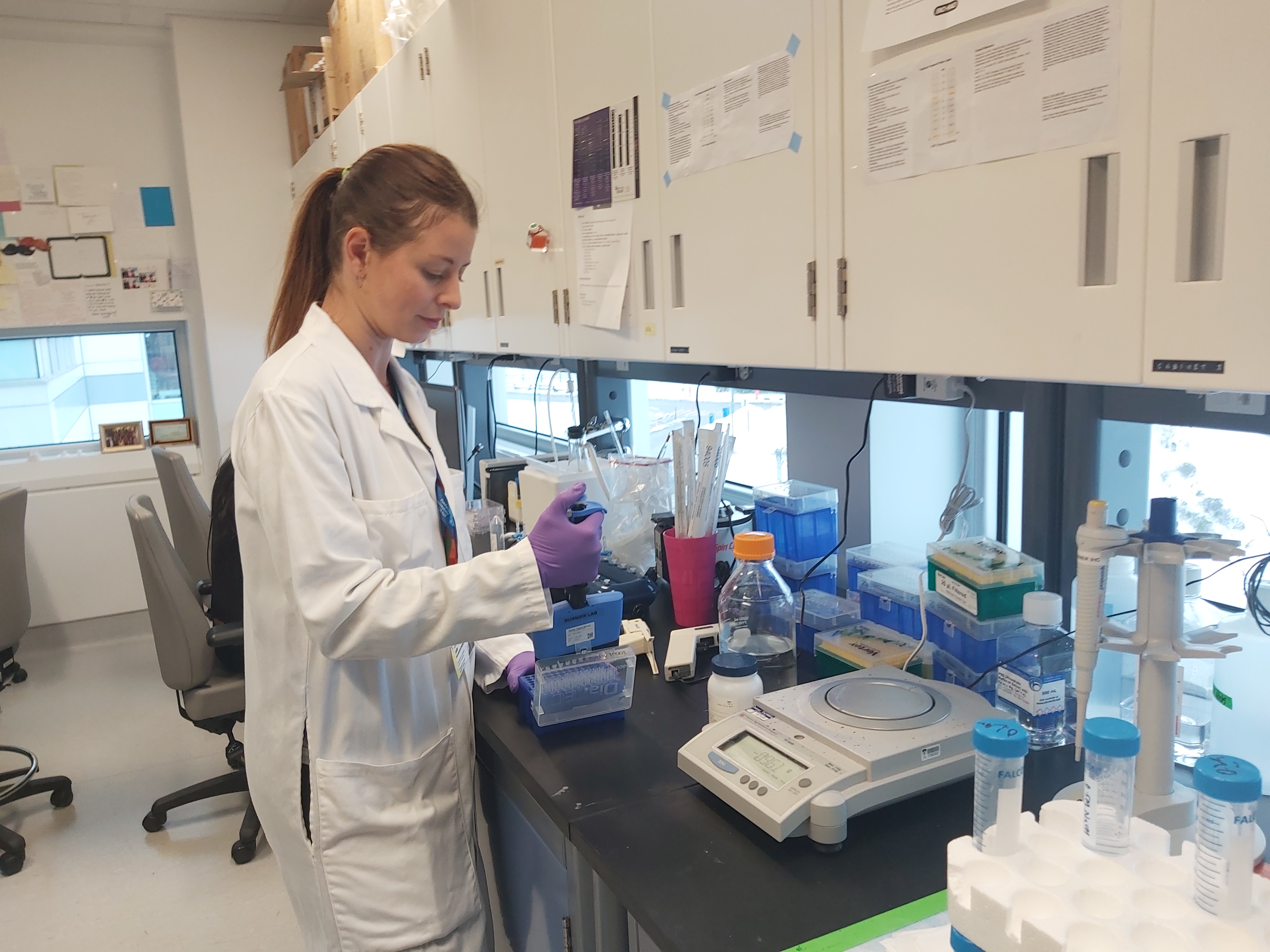 Researcher using pipette in laboratory