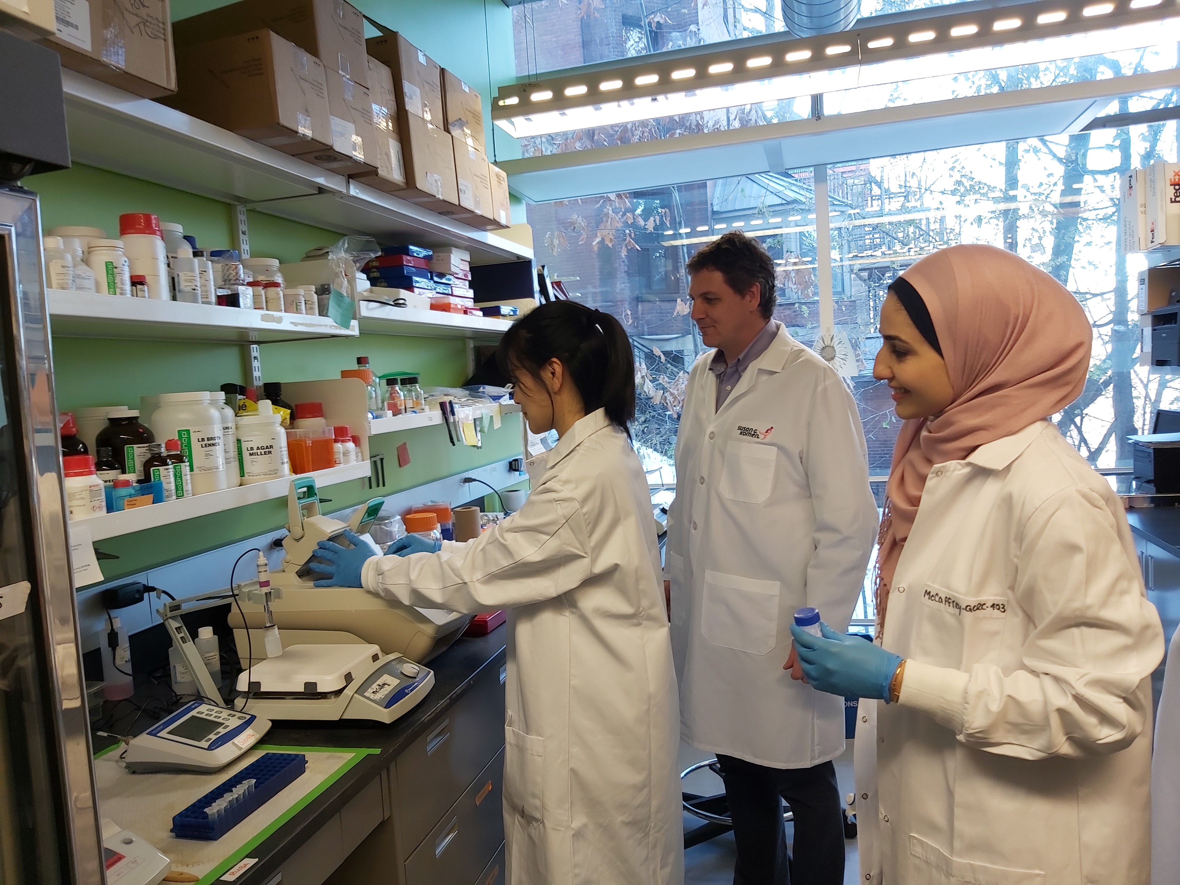 Three researchers working in laboratory