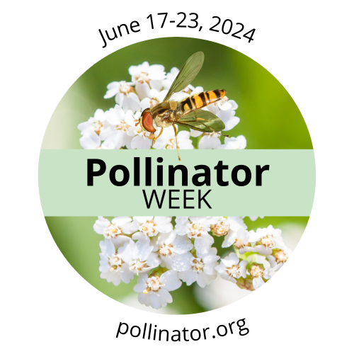 Pollinator Week English Logo 2024