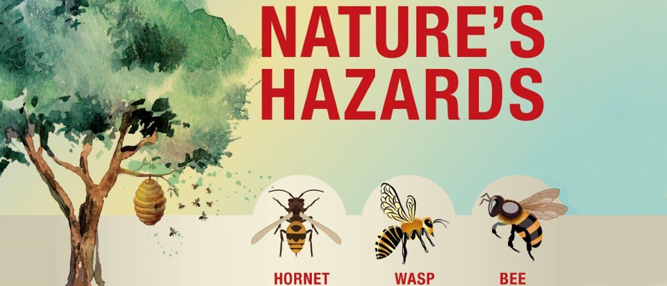 Bees and clearance wasps