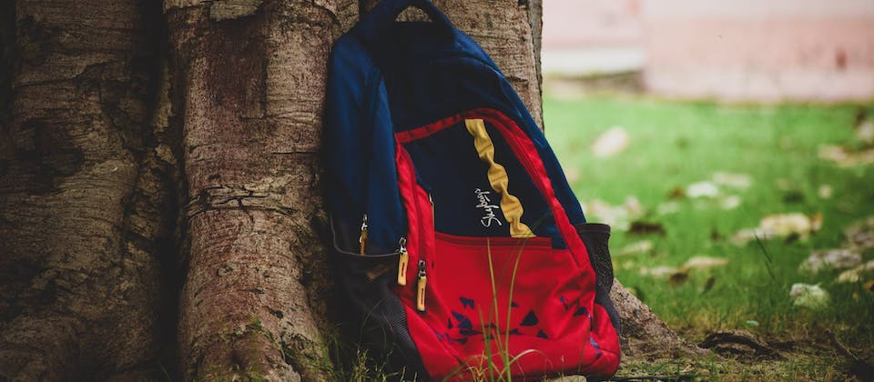 Red and blue backpack leaned against a tree.