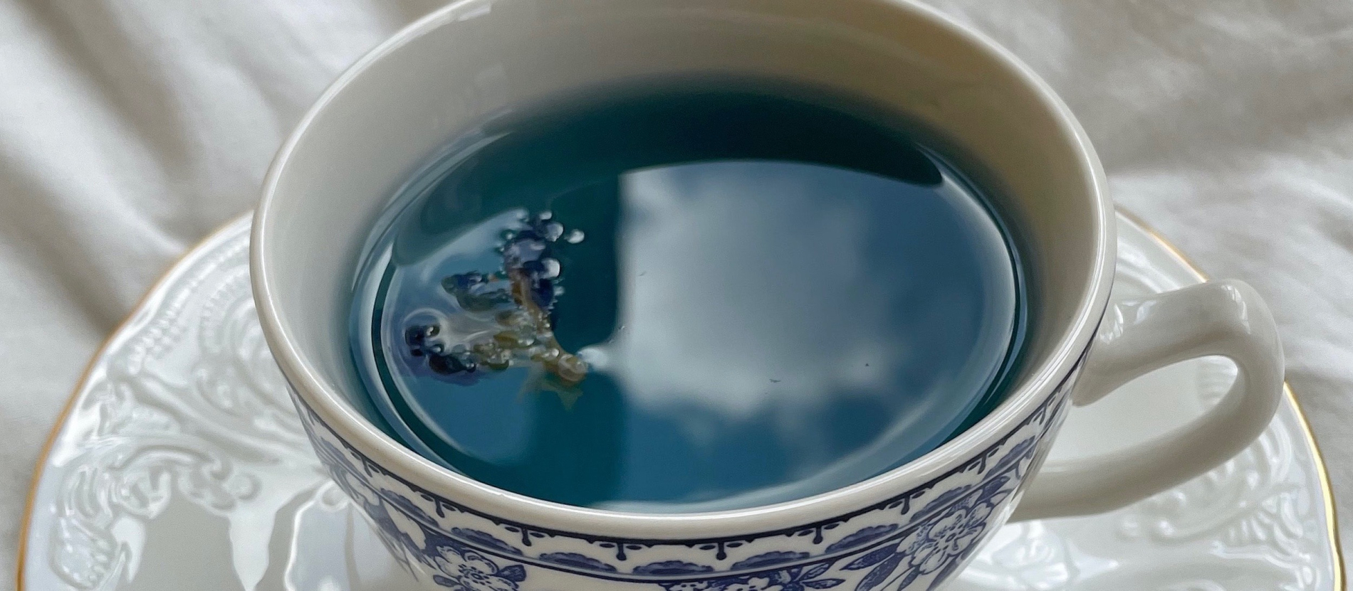 cup of blue tea