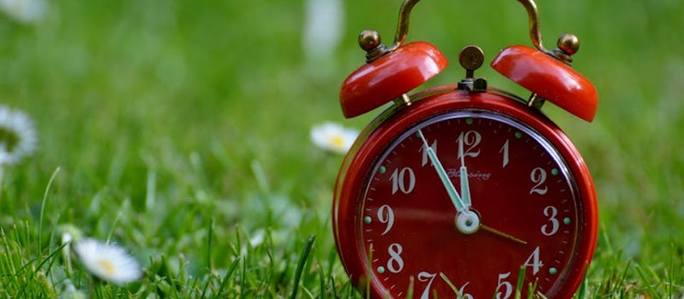 red clock in the grass