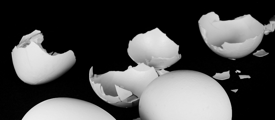 Can We Use Eggshells To Treat Osteoarthritis Office For Science And Society Mcgill University
