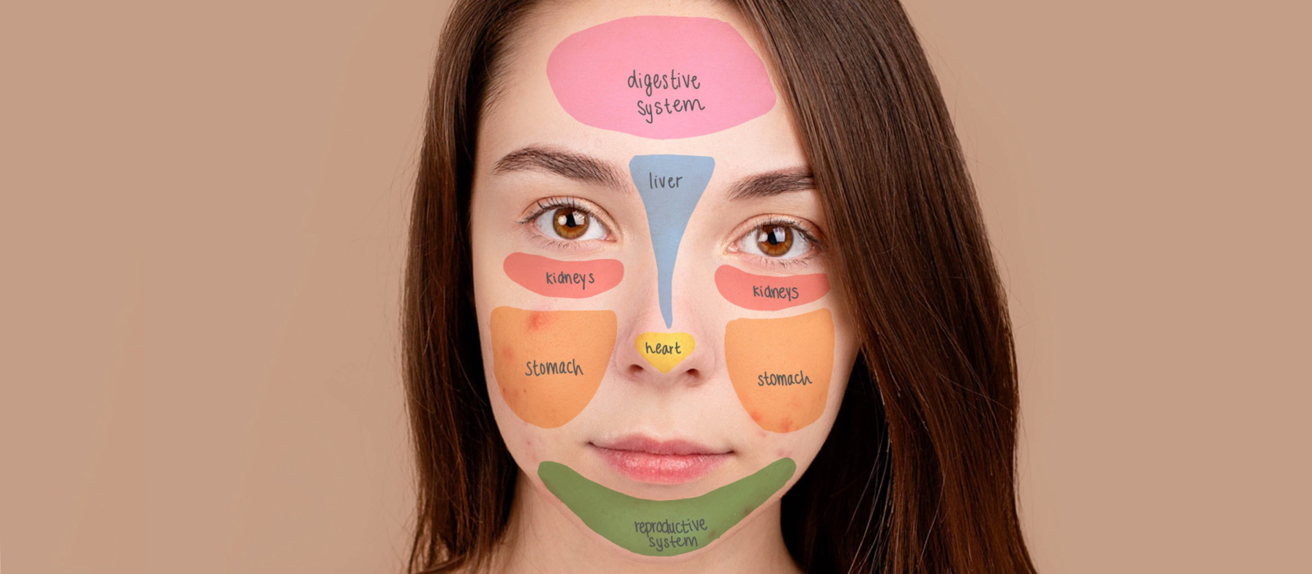 girl with words on her face stating parts of the body