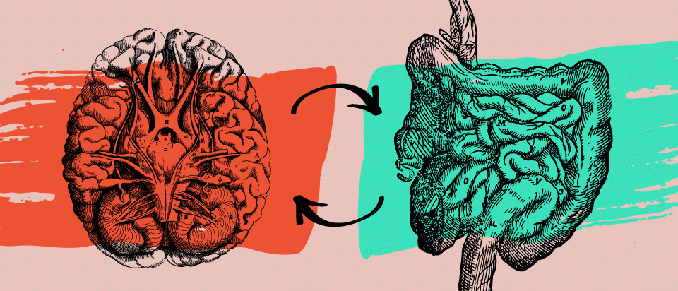 You Think What You Eat? | Office for Science and Society - McGill University