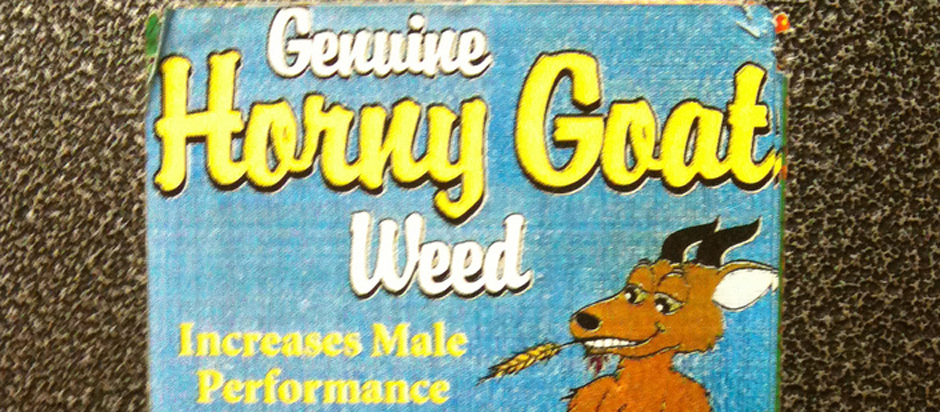 Horny Weed