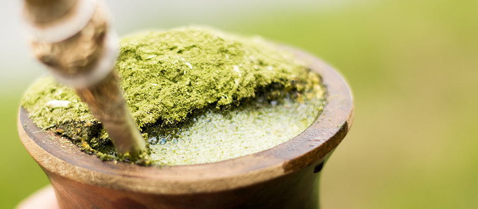 Is there any benefit to drinking Yerba mate tea?