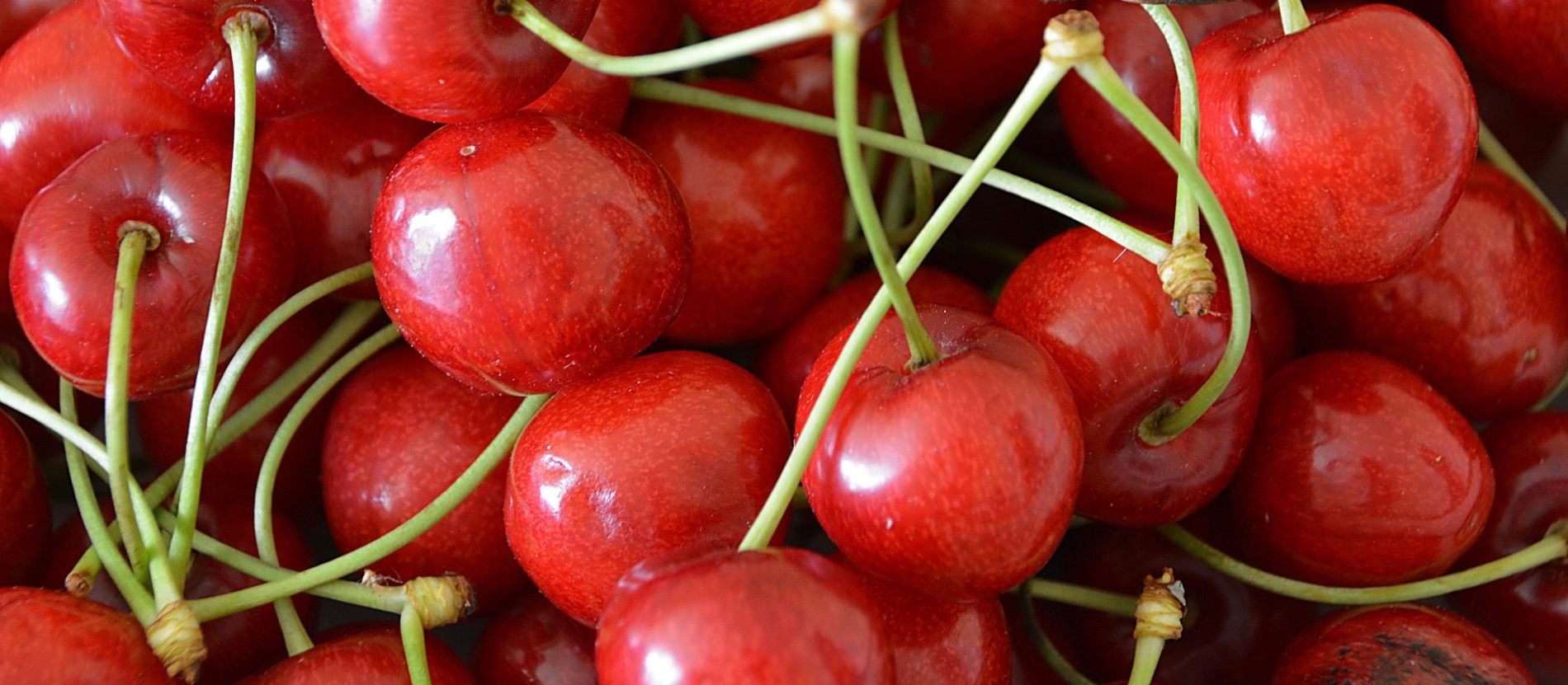 Health Benefits Of Cherries Mayo Clinic