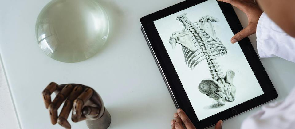  scientist studying anatomy with tablet
