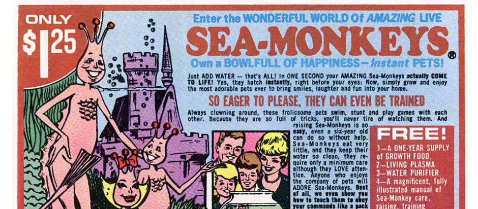 big seamonkey big seamonkey