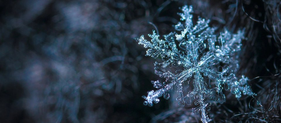 close up of a snowflake