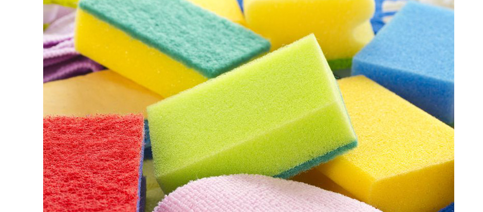 Kitchen Sponge Panic  Office for Science and Society - McGill University