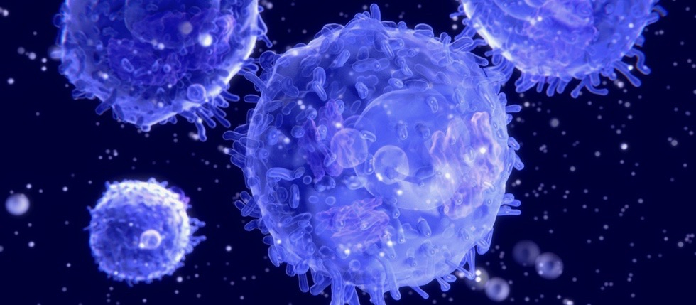 what cancers weaken the immune system