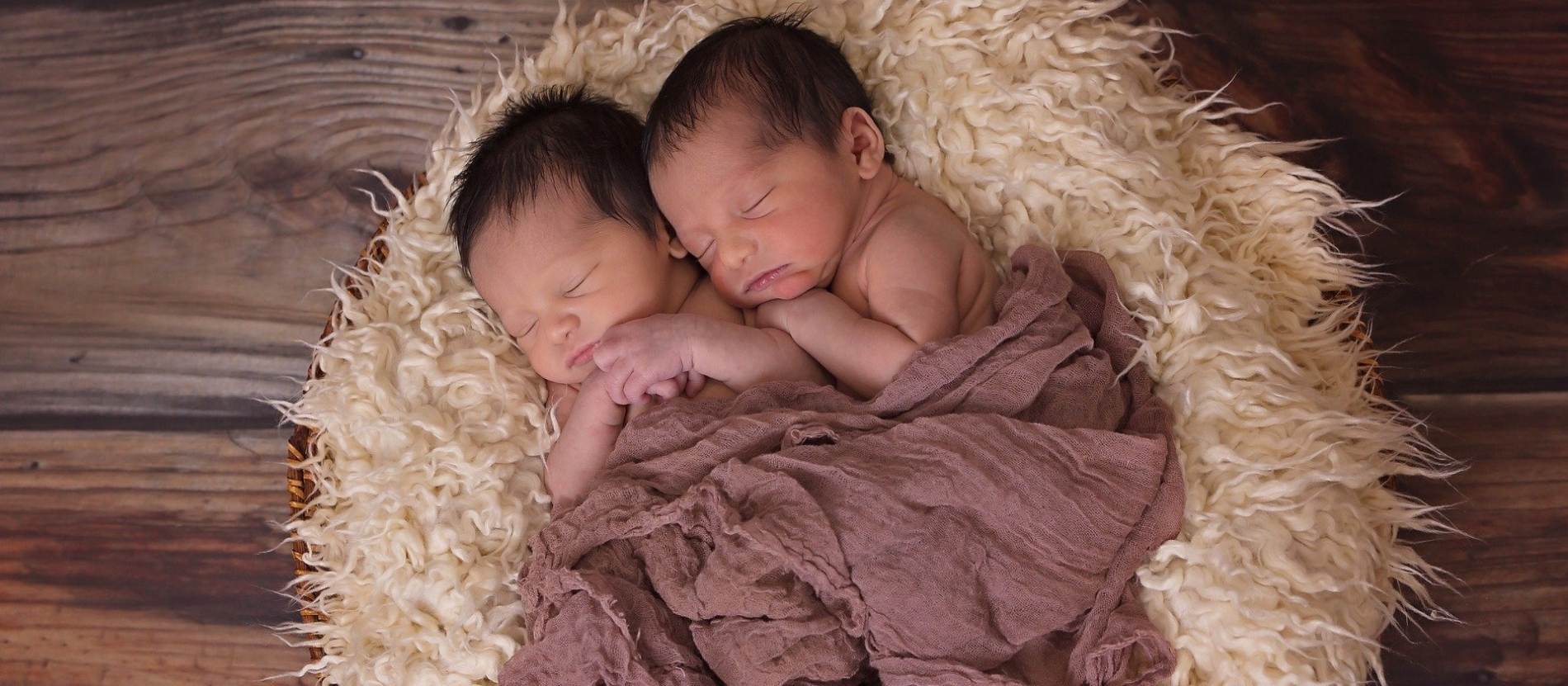 fraternal twins boy and girl adult