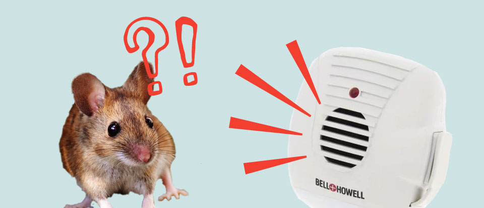 Ultrasonic Pest Repeller, KALLODEAR Mouse Repellent, Mice Repellent  Plug-ins, Rodent Squirrels Repellent Indoor Ultrasonic Pest Repeller Mouse