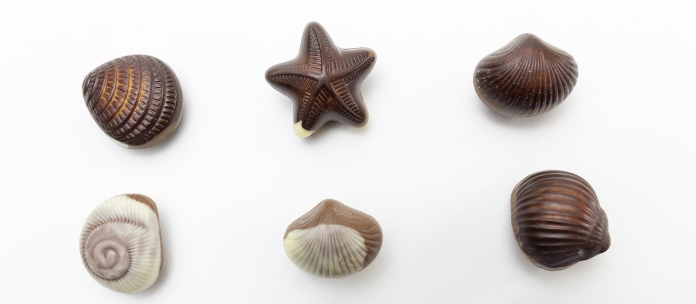 Assorted chocolates shaped like seashells and a starfish arranged on a white background
