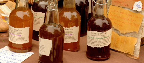 A Rotten Apple Really Does Spoil the Barrel Office for Science and Society - McGill University