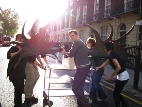 the irish elk being moved