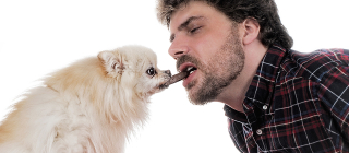 My Dog Ate Chocolate and He Was Fine, so What's the Big Deal?