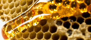 create honey