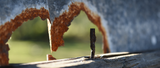 rust tetanus teeth beavers metal mcgill doesn give did know oss shot ca