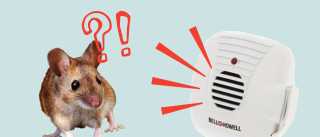 do ultrasonic rodent repellers affect dogs