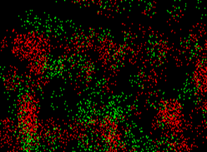 micro array