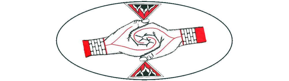 Native Youth Sexual Health Network