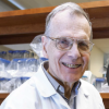 David George Haegert (Post-Retirement)