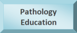 Pathology Education