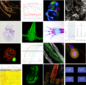 images and molecular biology platform