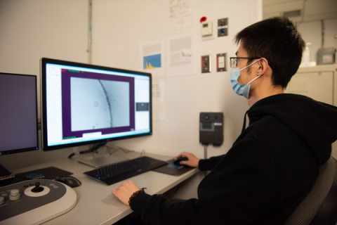 A researcher analyzes data on a computer