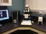 sterio microscope