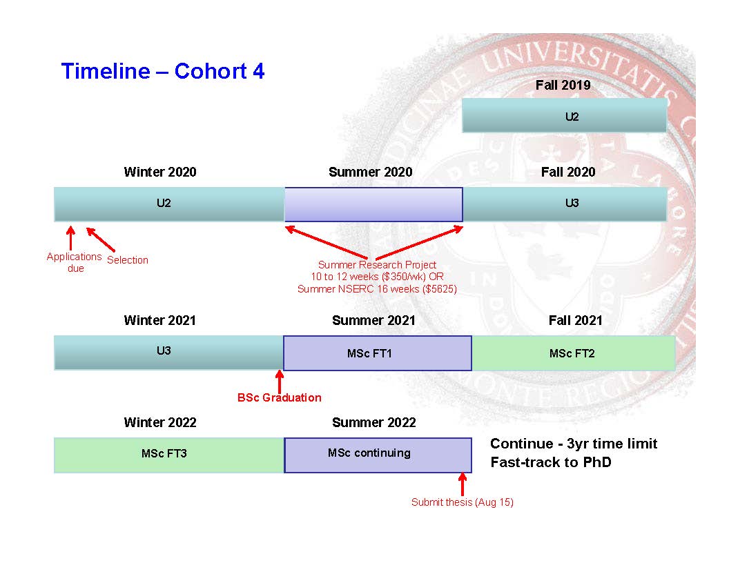 thesis submission timeline mcgill