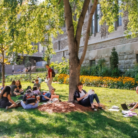 Students hangout on the grounds of mcgill university