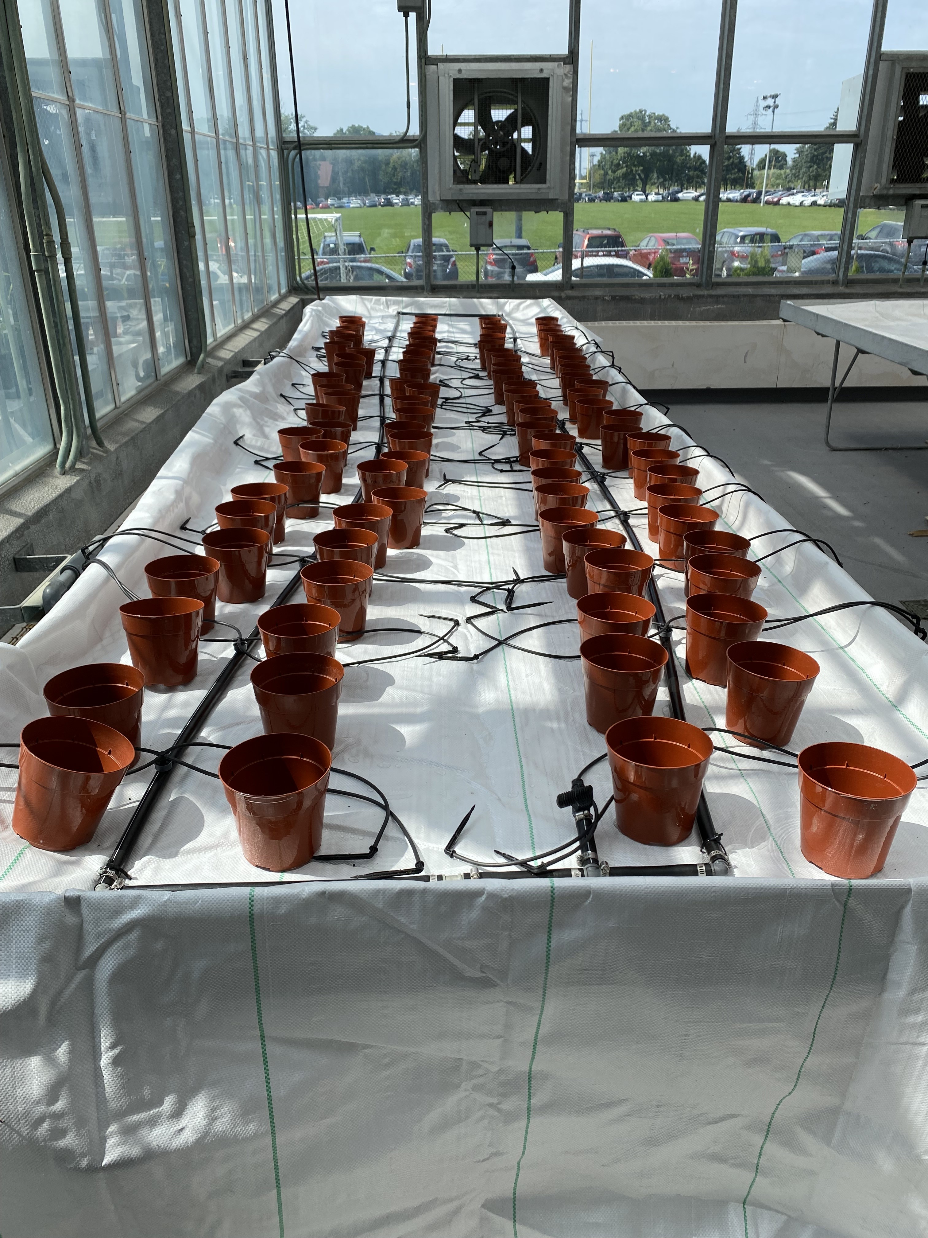 Greenhouse benches with empty plant pots on it