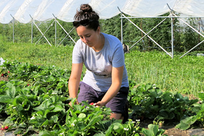 A graduate student planting in a field
