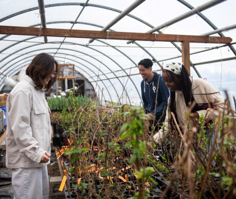 Three smiling students work with plants in a greenhouse on the Macdonald campus farm