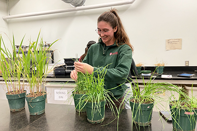 Student conducting research with potted plants in a lab 