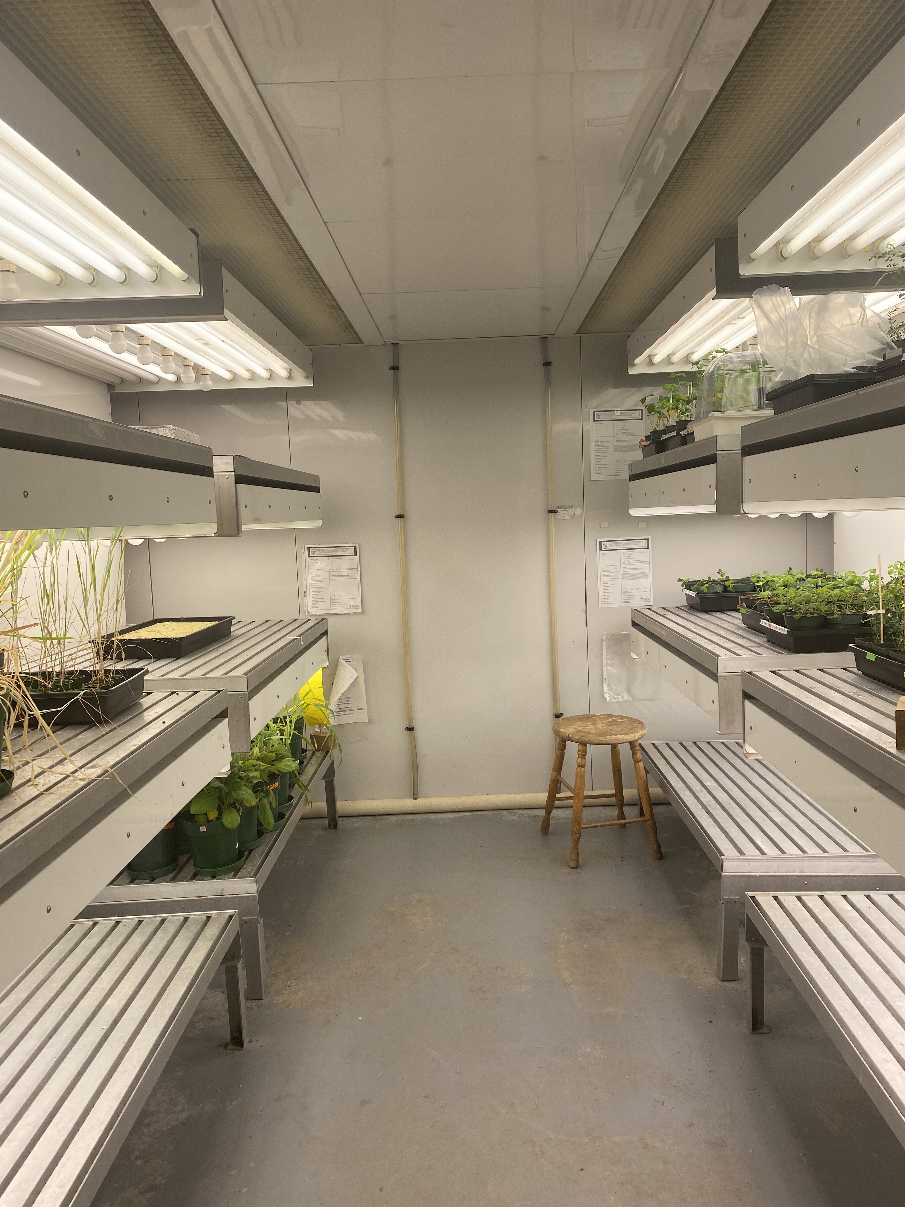 Walk-in Growth Shelf with plants