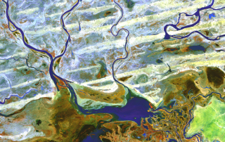 Satellite view of the Niger River
