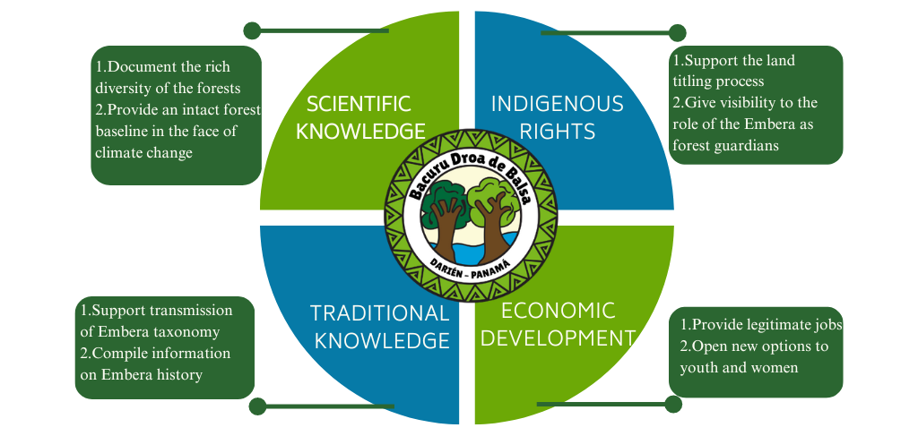 The 4 spheres of the Bacurú Drõa project