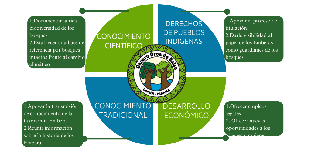Las 4 dimensiones del proyecto Bacurú Drõa: Conocimiento científico, Derechos de pueblos indígenas,  Conocimiento tradicional, Desarrollo económico