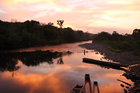 Bacurú Drõa: An Old Growth Observatory Research Project in the Darien Gap