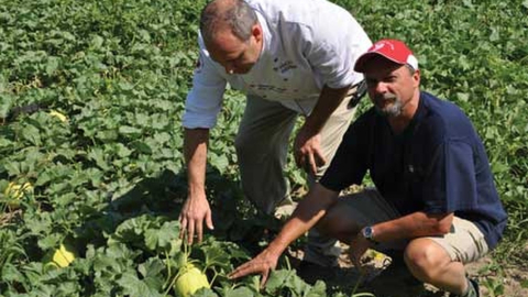 McGill researchers in a field