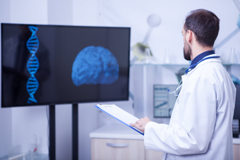 Doctor in his cabinet looking at a brain and trying to put a diagnosis. Doctor giving his expertise.