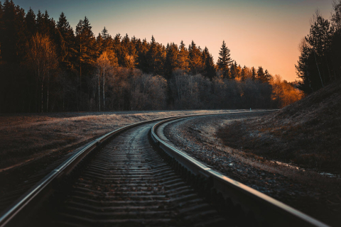 tracks with trees