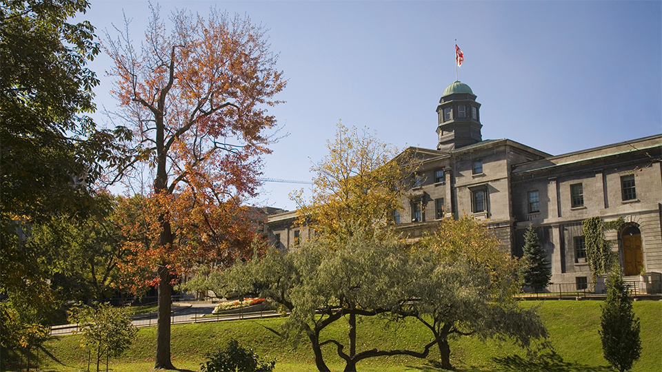 McGill University Strategic Academic Plan 2017-2022 | Office of the